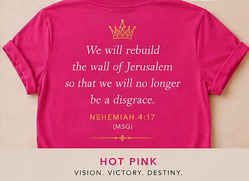 Simmit Tee - Vision in One Hand (Pink)